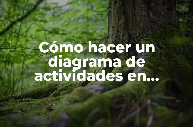 Cómo Hacer un Diagrama de Actividades en Enterprise Architect