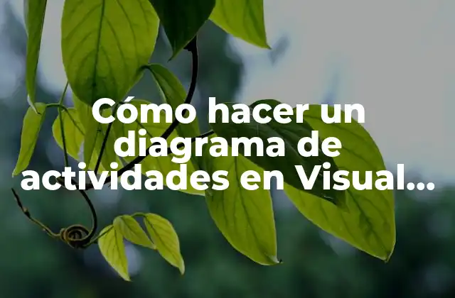 Cómo Hacer un Diagrama de Actividades en Visual Paradigm