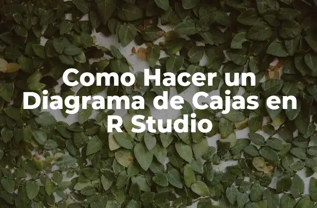 Como Hacer un Diagrama de Cajas en R Studio