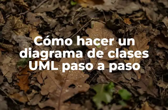 Cómo Hacer un Diagrama de Clases Uml Paso a Paso
