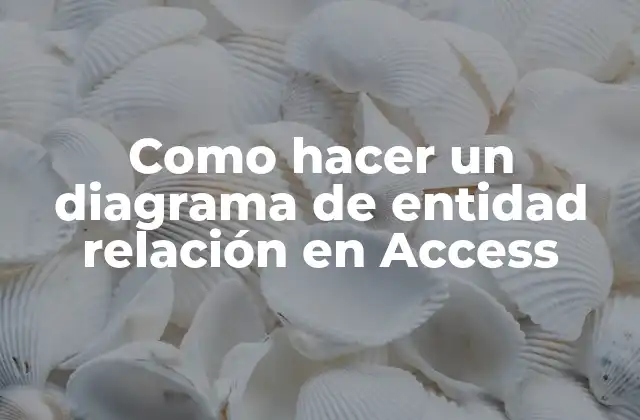 Como Hacer un Diagrama de Entidad Relación en Access