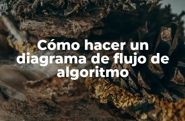 Cómo Hacer un Diagrama de Flujo de Algoritmo