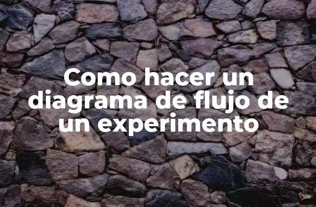 Como Hacer un Diagrama de Flujo de un Experimento