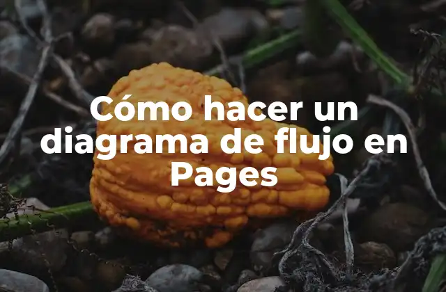 Cómo Hacer un Diagrama de Flujo en Pages