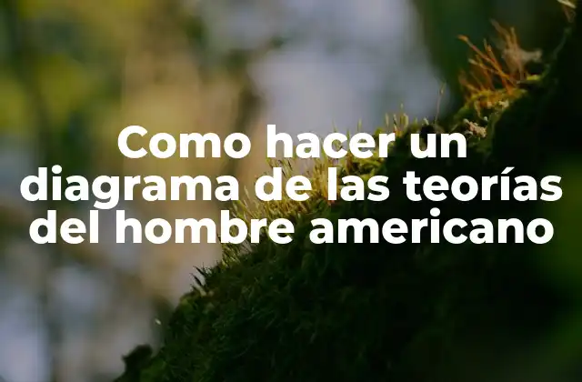 Como Hacer un Diagrama de las Teorías Del Hombre Americano