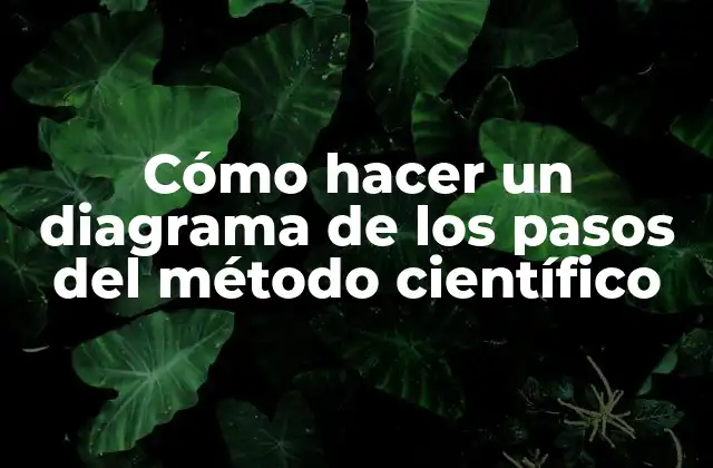 Cómo Hacer un Diagrama de los Pasos Del Método Científico