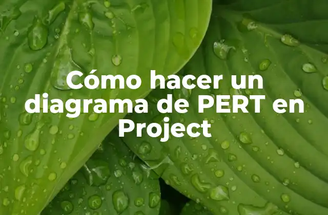 Cómo Hacer un Diagrama de Pert en Project