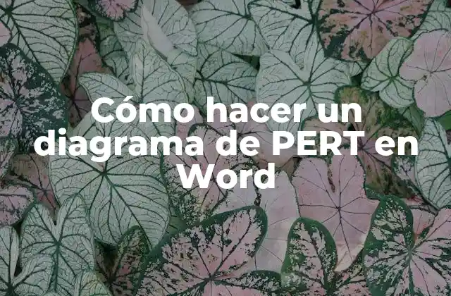 Cómo Hacer un Diagrama de Pert en Word