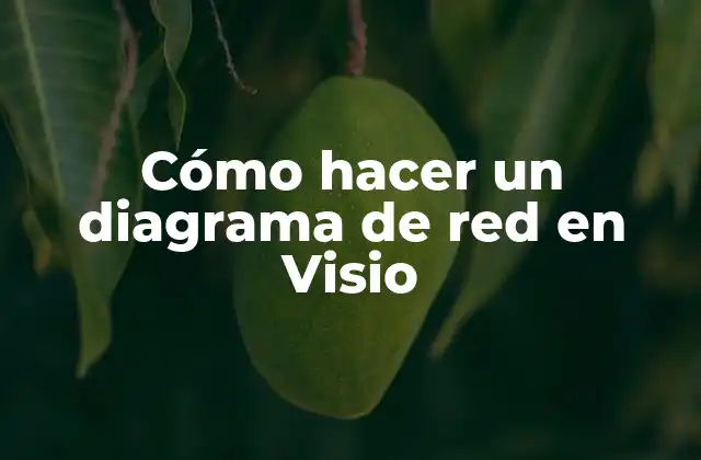 Cómo Hacer un Diagrama de Red en Visio
