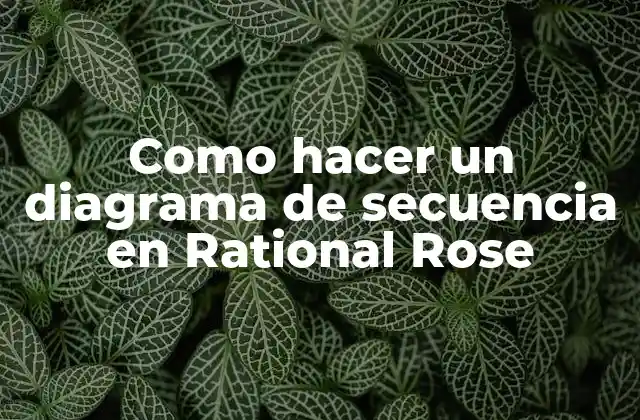 Como Hacer un Diagrama de Secuencia en Rational Rose
