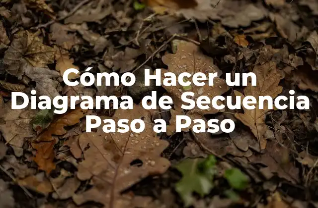 Cómo Hacer un Diagrama de Secuencia Paso a Paso