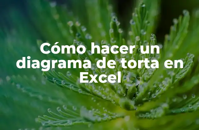 Cómo Hacer un Diagrama de Torta en Excel