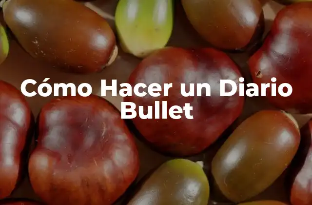 Cómo Hacer un Diario Bullet