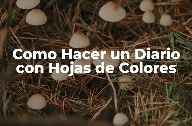Como Hacer un Diario con Hojas de Colores