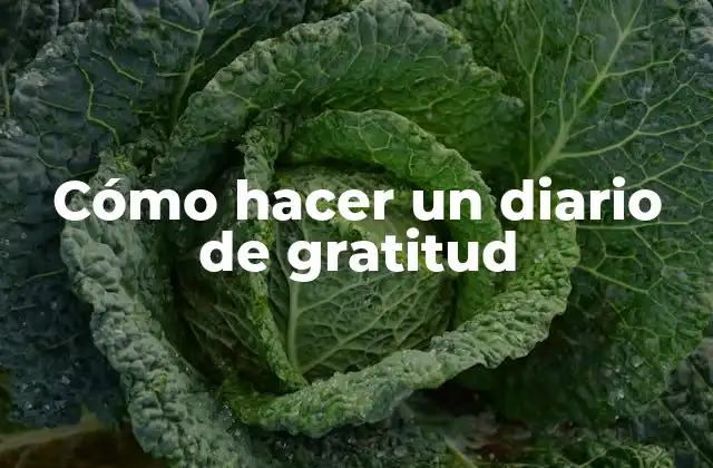 Cómo Hacer un Diario de Gratitud
