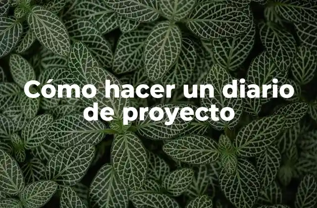Cómo Hacer un Diario de Proyecto 2 Cómo hacer un diario de proyecto