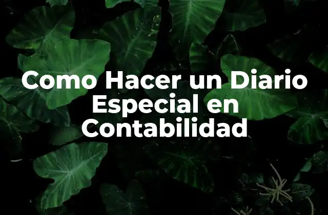 Como Hacer un Diario Especial en Contabilidad