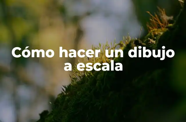Cómo Hacer un Dibujo a Escala