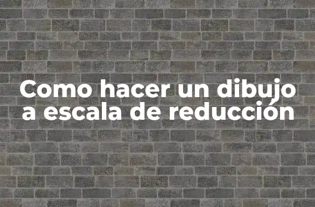 Como Hacer un Dibujo a Escala de Reducción