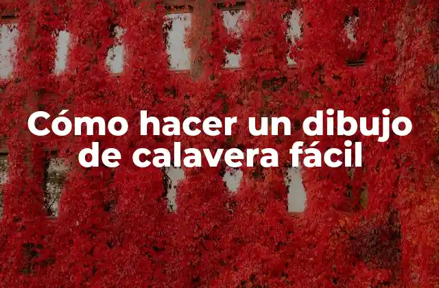 ¿Qué es un dibujo de calavera y para qué sirve?