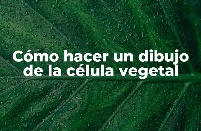 Cómo Hacer un Dibujo de la Célula Vegetal