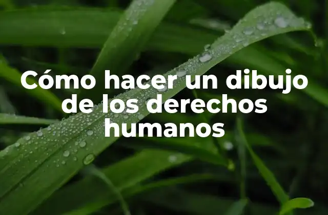 Cómo Hacer un Dibujo de los Derechos Humanos