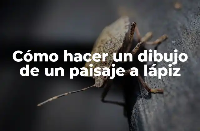 Cómo Hacer un Dibujo de un Paisaje a Lápiz