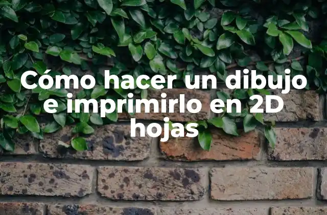 Cómo Hacer un Dibujo e Imprimirlo en 2d Hojas