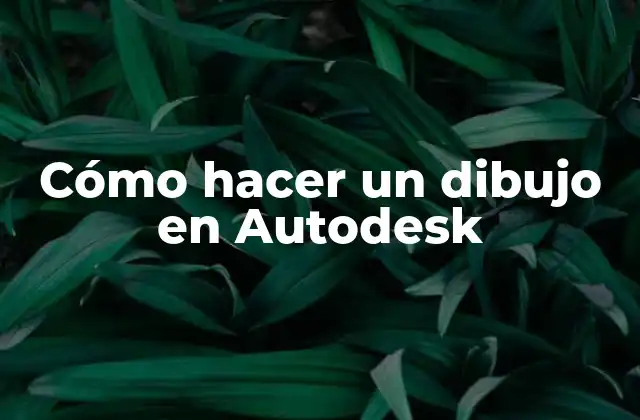 Cómo Hacer un Dibujo en Autodesk