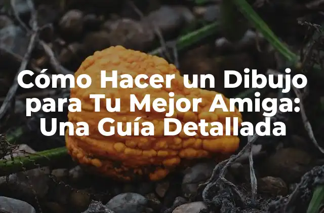Cómo Hacer un Dibujo para Tu Mejor Amiga: una Guía Detallada