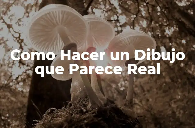 Como Hacer un Dibujo que Parece Real