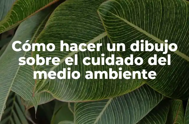 Cómo Hacer un Dibujo sobre el Cuidado Del Medio Ambiente