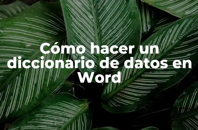 Cómo Hacer un Diccionario de Datos en Word