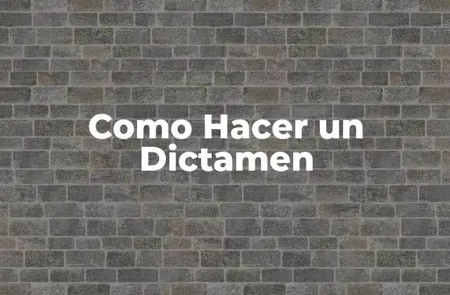 Como Hacer un Dictamen