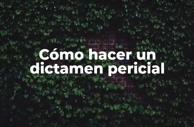 Cómo Hacer un Dictamen Pericial