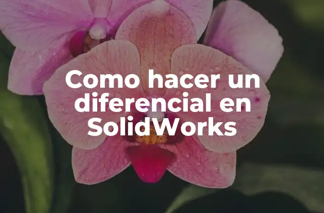 Como Hacer un Diferencial en Solidworks