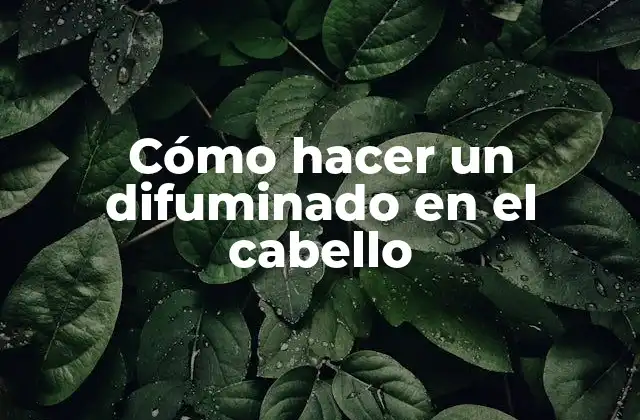 Cómo Hacer un Difuminado en el Cabello