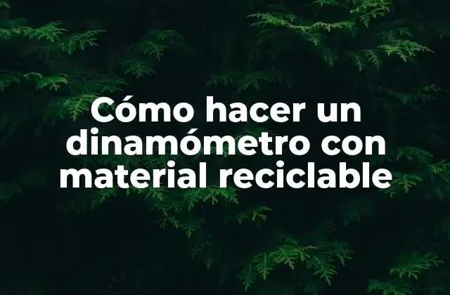 Cómo Hacer un Dinamómetro con Material Reciclable