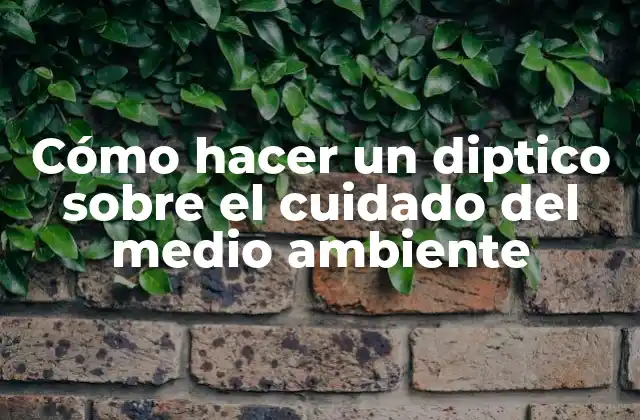 Cómo Hacer un Diptico sobre el Cuidado Del Medio Ambiente