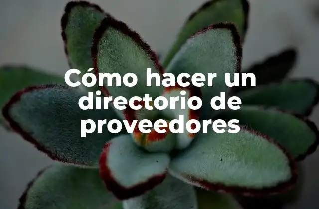 Cómo Hacer un Directorio de Proveedores
