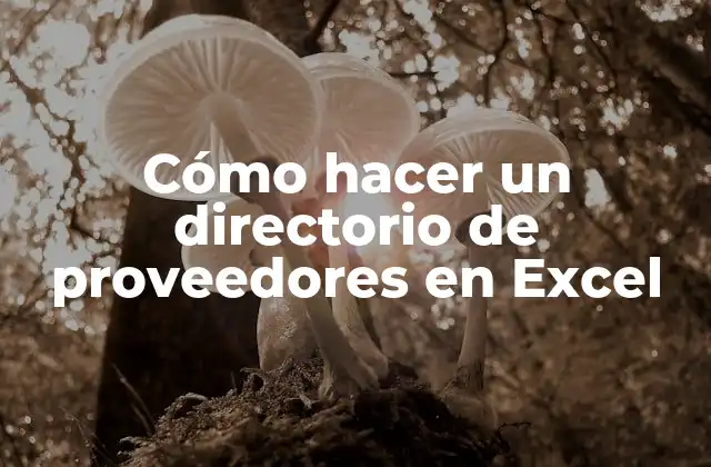 Cómo Hacer un Directorio de Proveedores en Excel