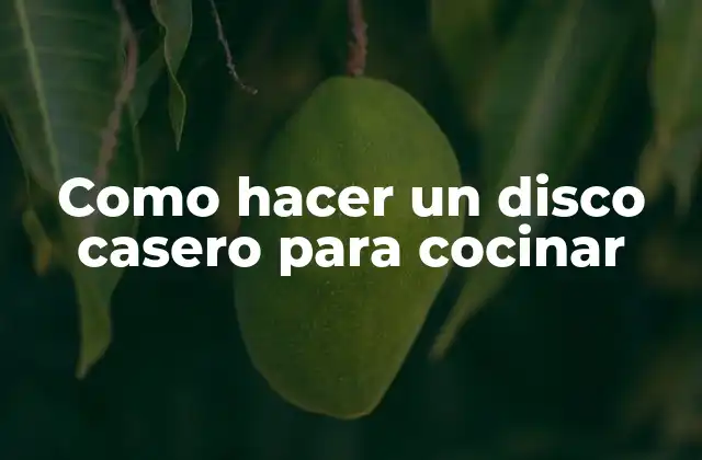Como Hacer un Disco Casero para Cocinar