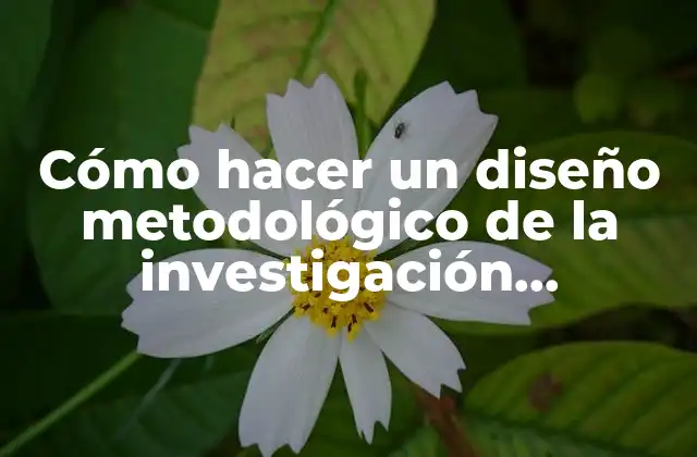 Cómo Hacer un Diseño Metodológico de la Investigación Cualitativa