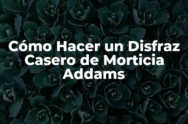 Cómo Hacer un Disfraz Casero de Morticia Addams