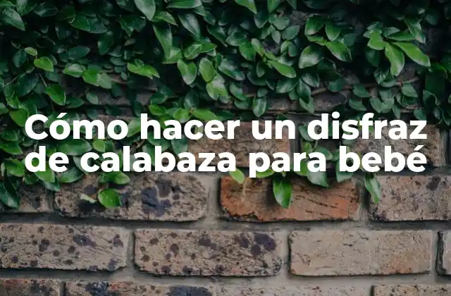 Cómo Hacer un Disfraz de Calabaza para Bebé