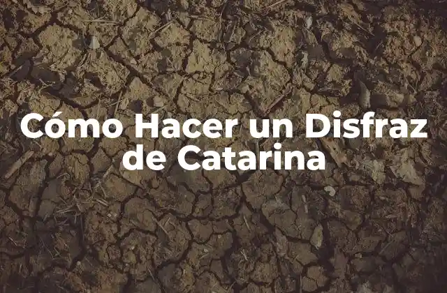 Cómo Hacer un Disfraz de Catarina