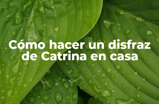 Cómo Hacer un Disfraz de Catrina en Casa
