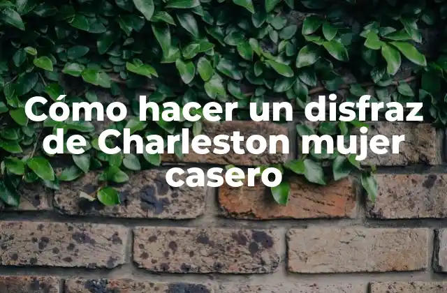 Cómo Hacer un Disfraz de Charleston Mujer Casero