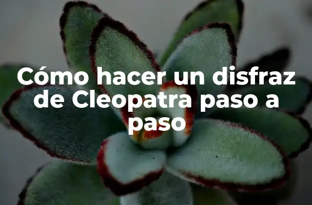 Cómo Hacer un Disfraz de Cleopatra Paso a Paso