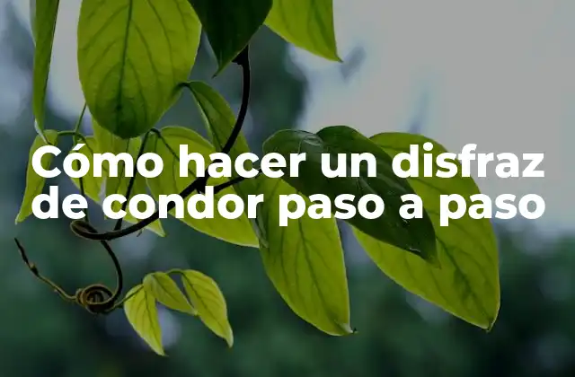 ¿Qué es un disfraz de condor?